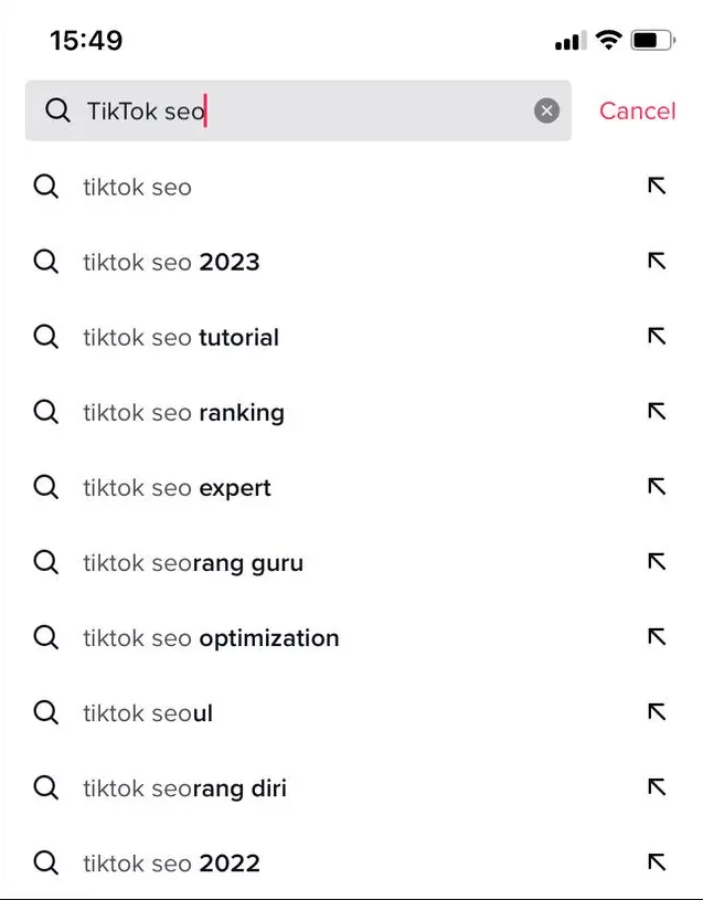 如何通过TikTok SEO玩转自然精准搜索流量